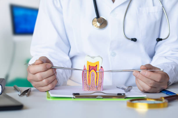 Best Emergency Root Canal Treatment in Port Gibson, MS